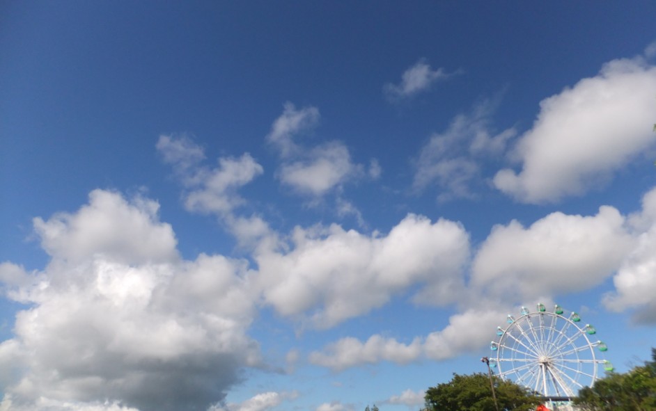 a0237391_10243284.jpg