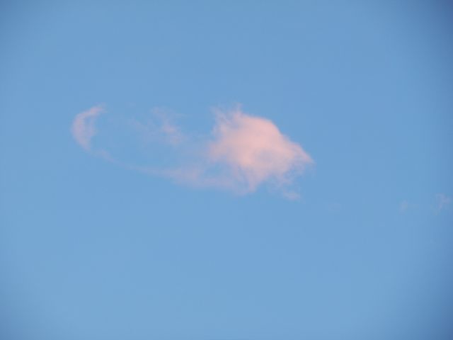 f0130894_22183213.jpg