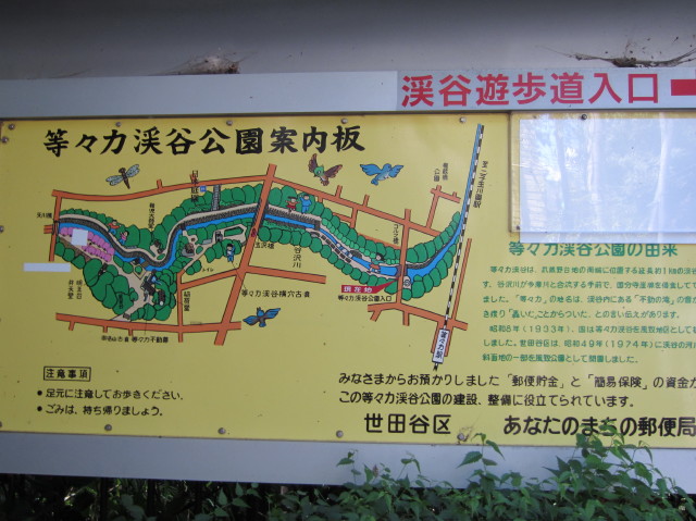 d0098295_236245.jpg