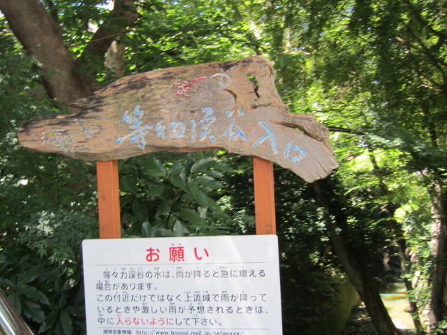 d0098295_237570.jpg