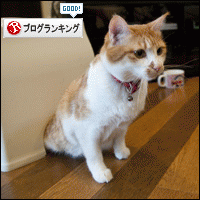 人気ブログランキングへ