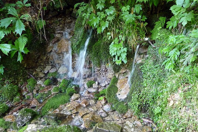 e0137200_17212269.jpg
