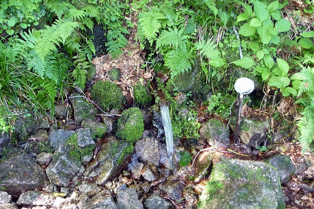 e0137200_17214292.jpg