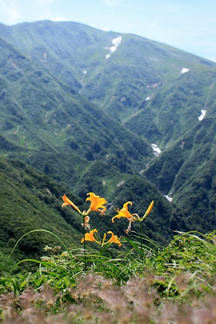 e0137200_17242090.jpg