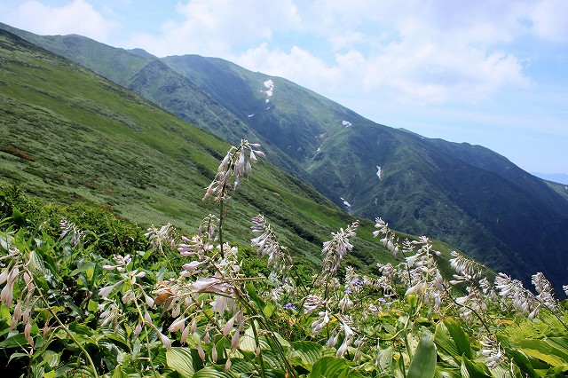 e0137200_17254053.jpg