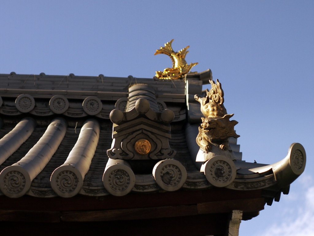 b0138101_21307100.jpg