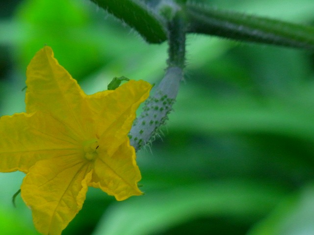 f0157901_17415953.jpg