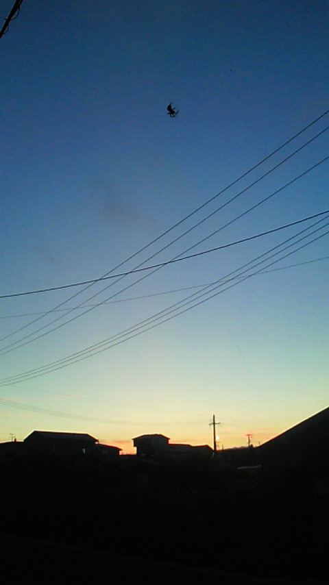 d0149105_20342617.jpg