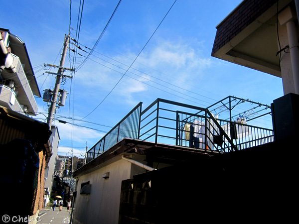 a0154706_145139.jpg