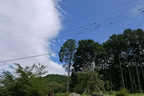 b0061107_802289.jpg