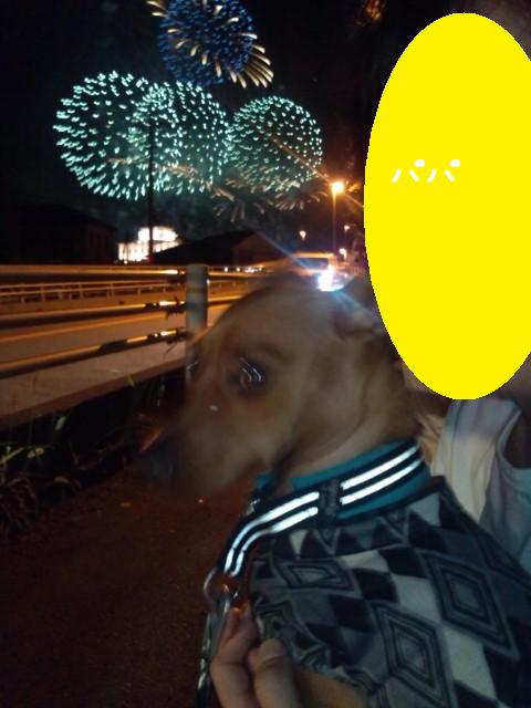 e0246708_14302127.jpg