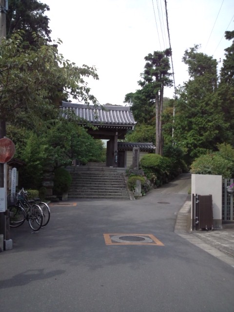 e0246708_9135338.jpg