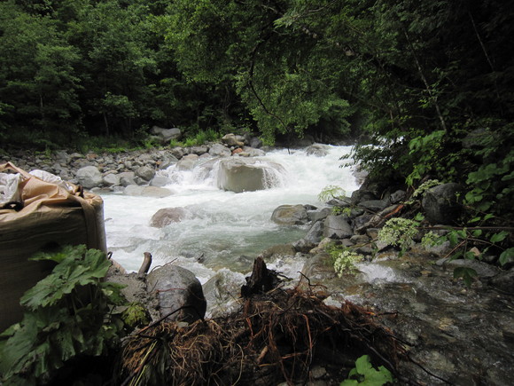 d0241509_22412354.jpg
