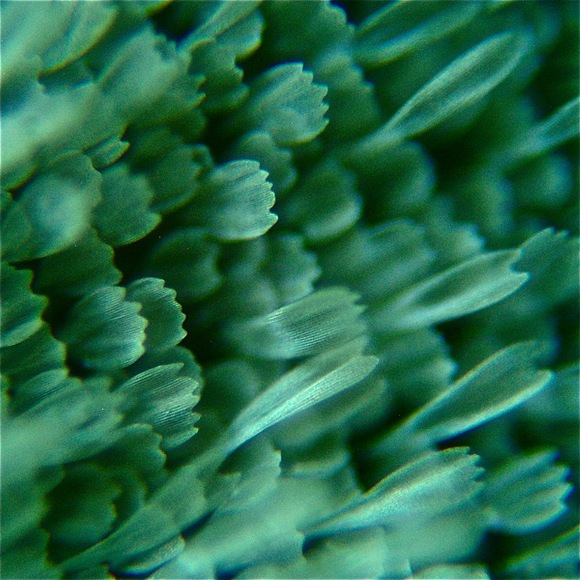 e0142611_20131829.jpg