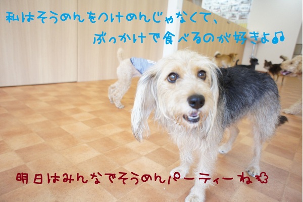 d0220513_19452450.jpg