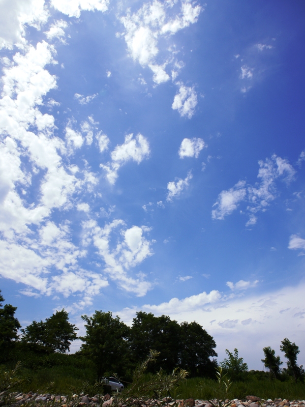 a0043814_21303213.jpg