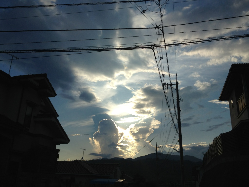 b0184015_9124831.jpg