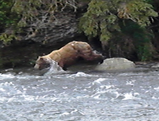 d0098316_21493441.jpg