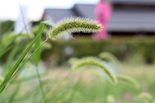 b0197418_16433460.jpg