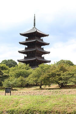 b0197418_1650437.jpg