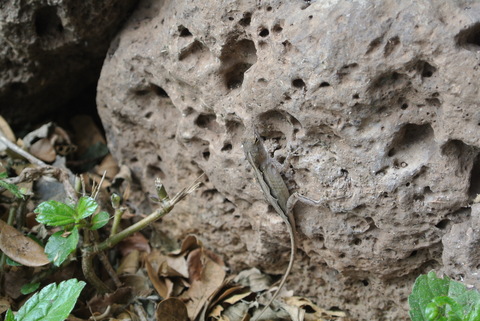 e0219520_15114330.jpg