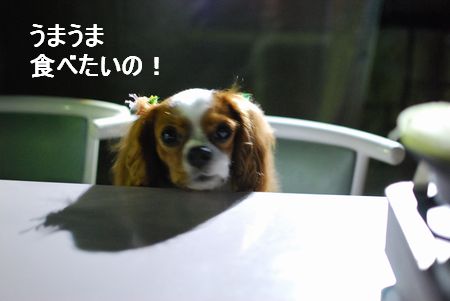 f0214121_21192134.jpg