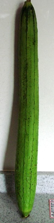c0039924_20204756.jpg