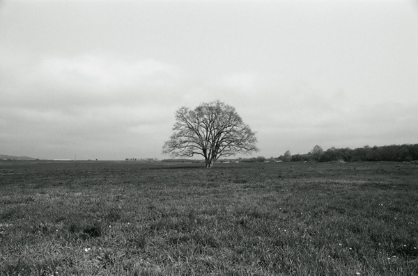 f0182924_23383952.jpg