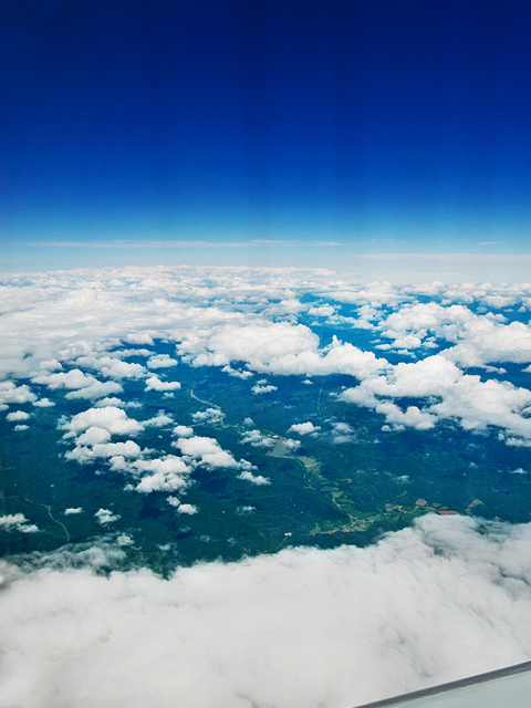 b0085526_1791867.jpg