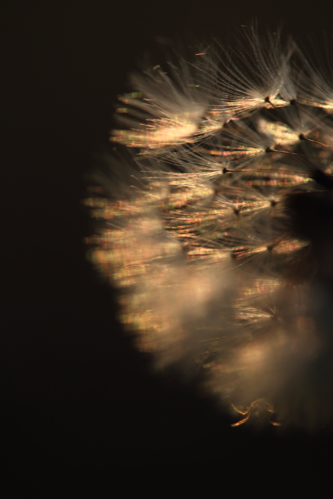 c0215627_1346985.jpg
