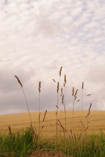 c0093830_22594836.jpg