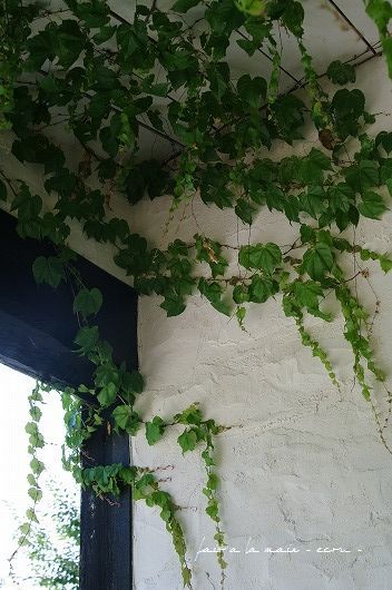c0093830_2344469.jpg