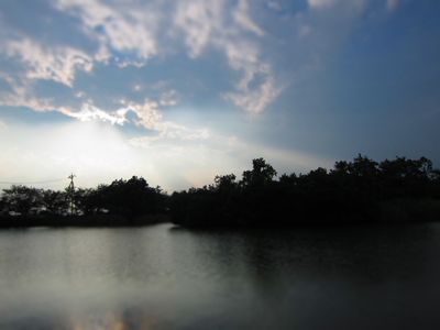 e0019550_20142020.jpg