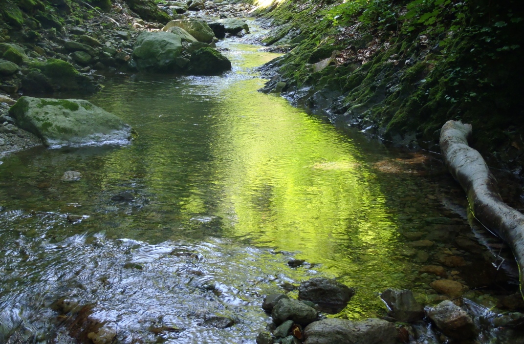 d0169556_1143092.jpg