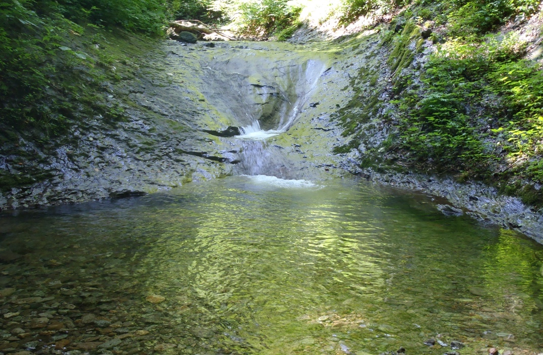 d0169556_115084.jpg