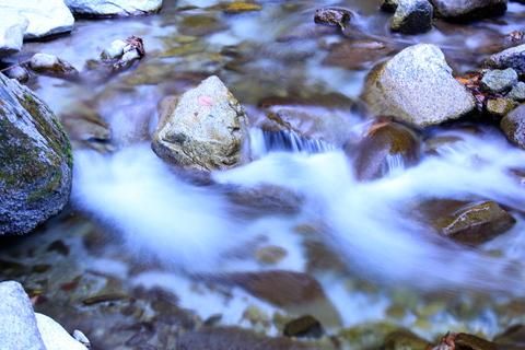 a0248459_17251671.jpg