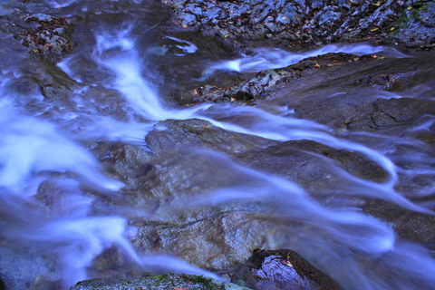 a0248459_17252316.jpg