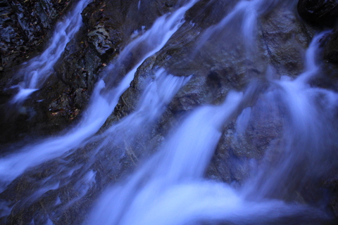 a0248459_17253061.jpg