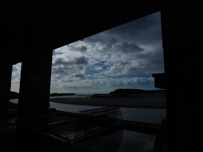 a0260570_1313186.jpg