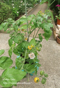 e0263072_925840.jpg