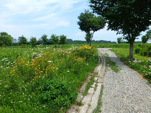 d0084473_21361811.jpg