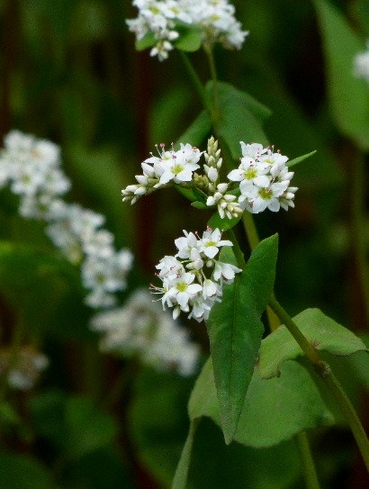 d0084473_21371917.jpg