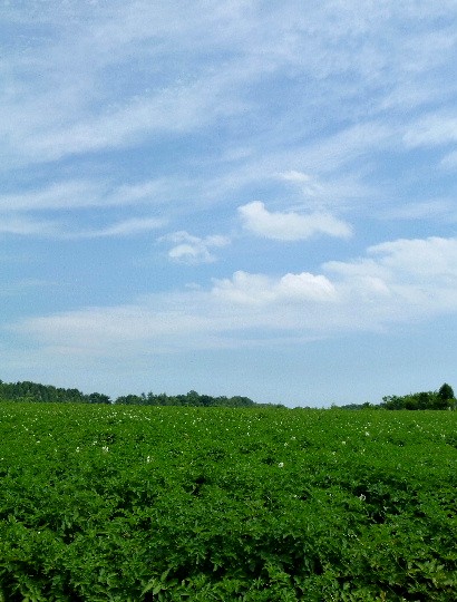 d0084473_21373485.jpg