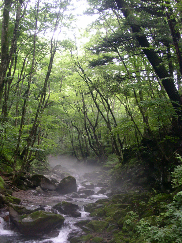 e0118274_22384140.jpg