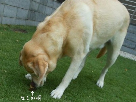 c0028792_20515787.jpg