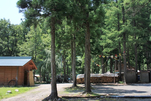e0229992_1145518.jpg