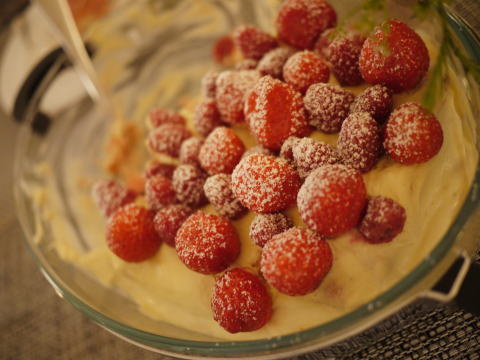 c0090198_415588.jpg