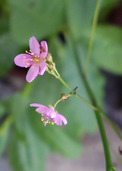 a0031000_13482417.jpg