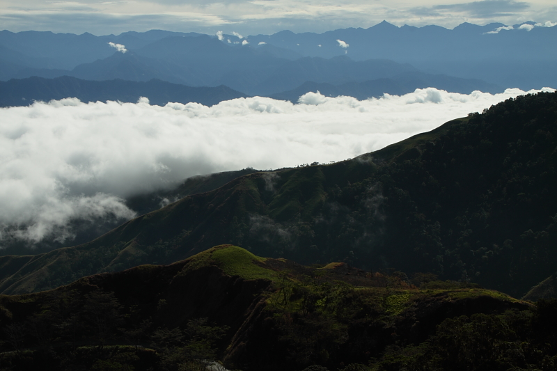 c0248100_2053521.jpg