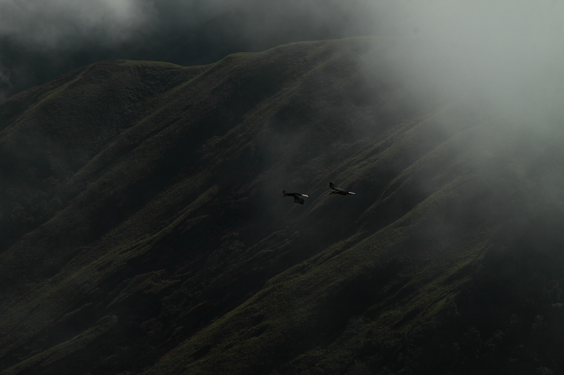 c0248100_206755.jpg